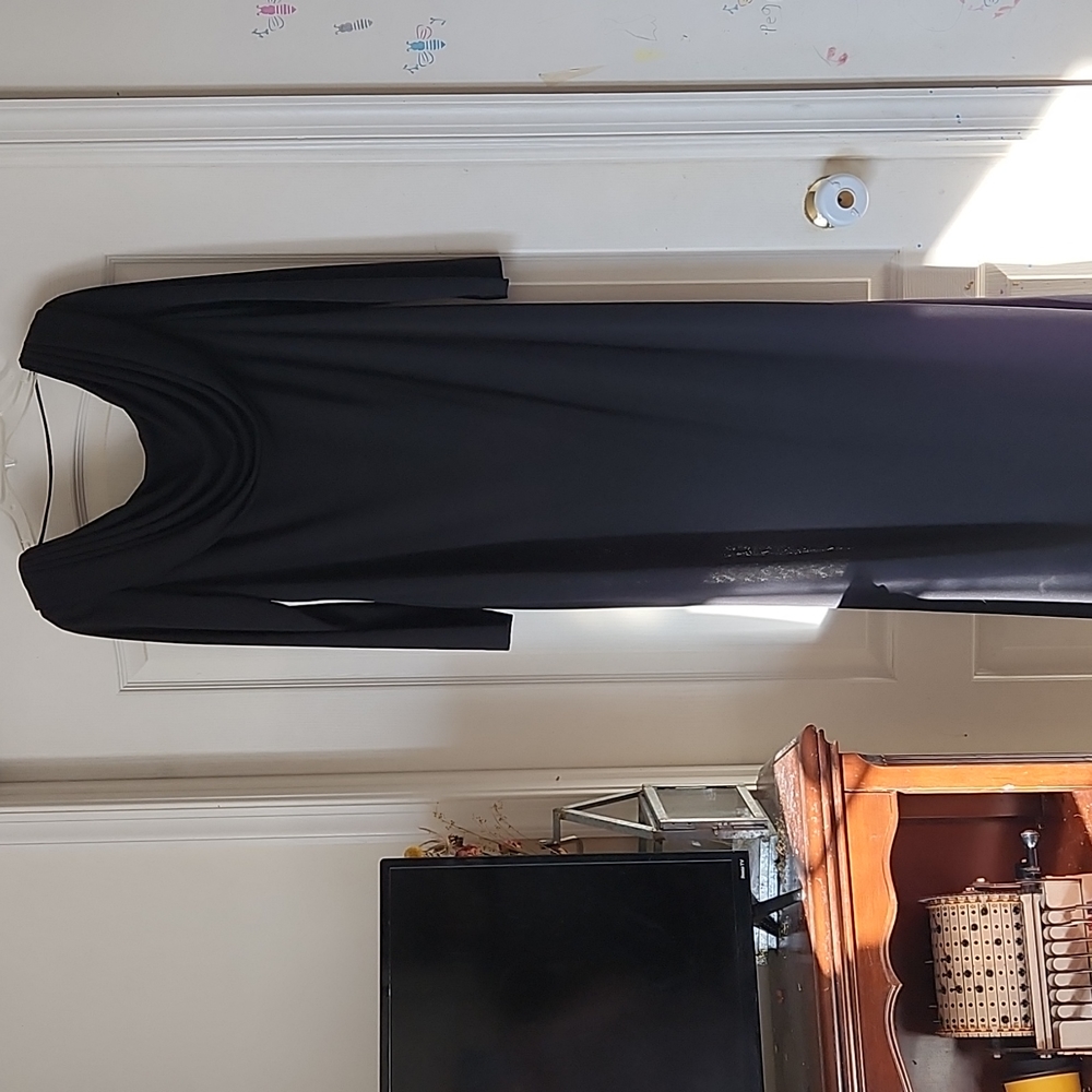 Alex Evenings formal black gown.